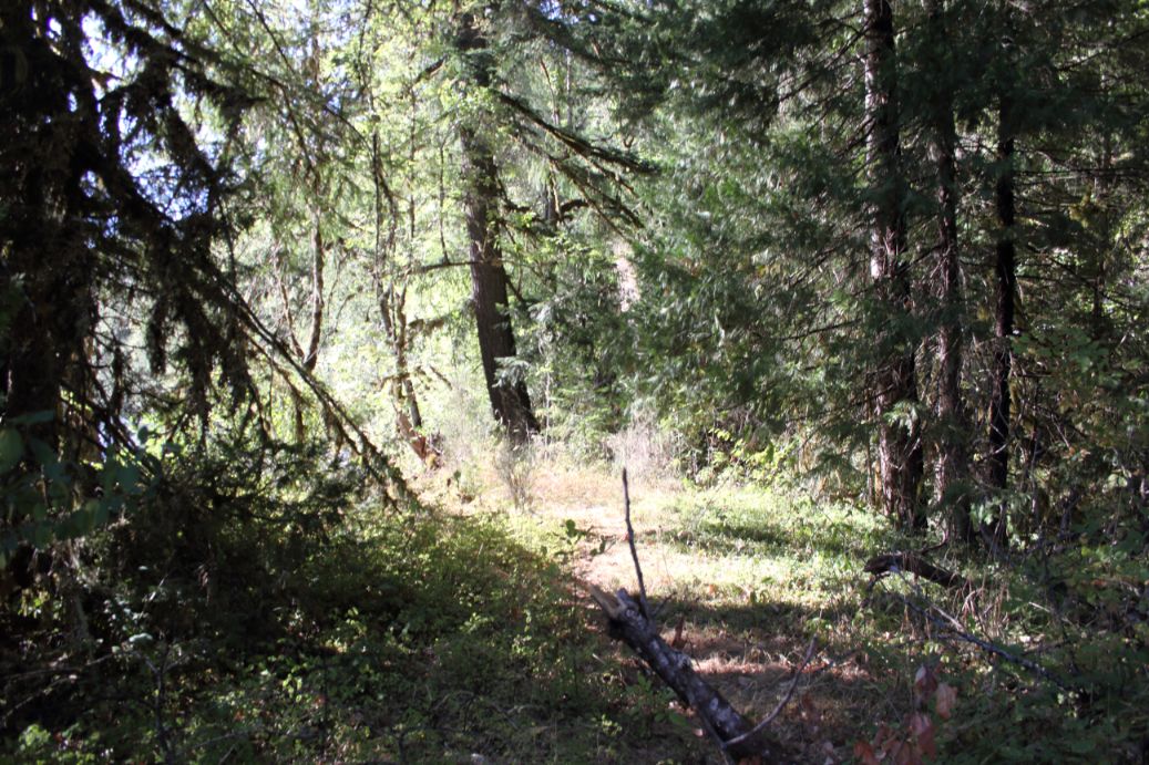 SOLD RIVERFRONT! 0.38 Acres on the McKenzie River in Oregon Wilco Land