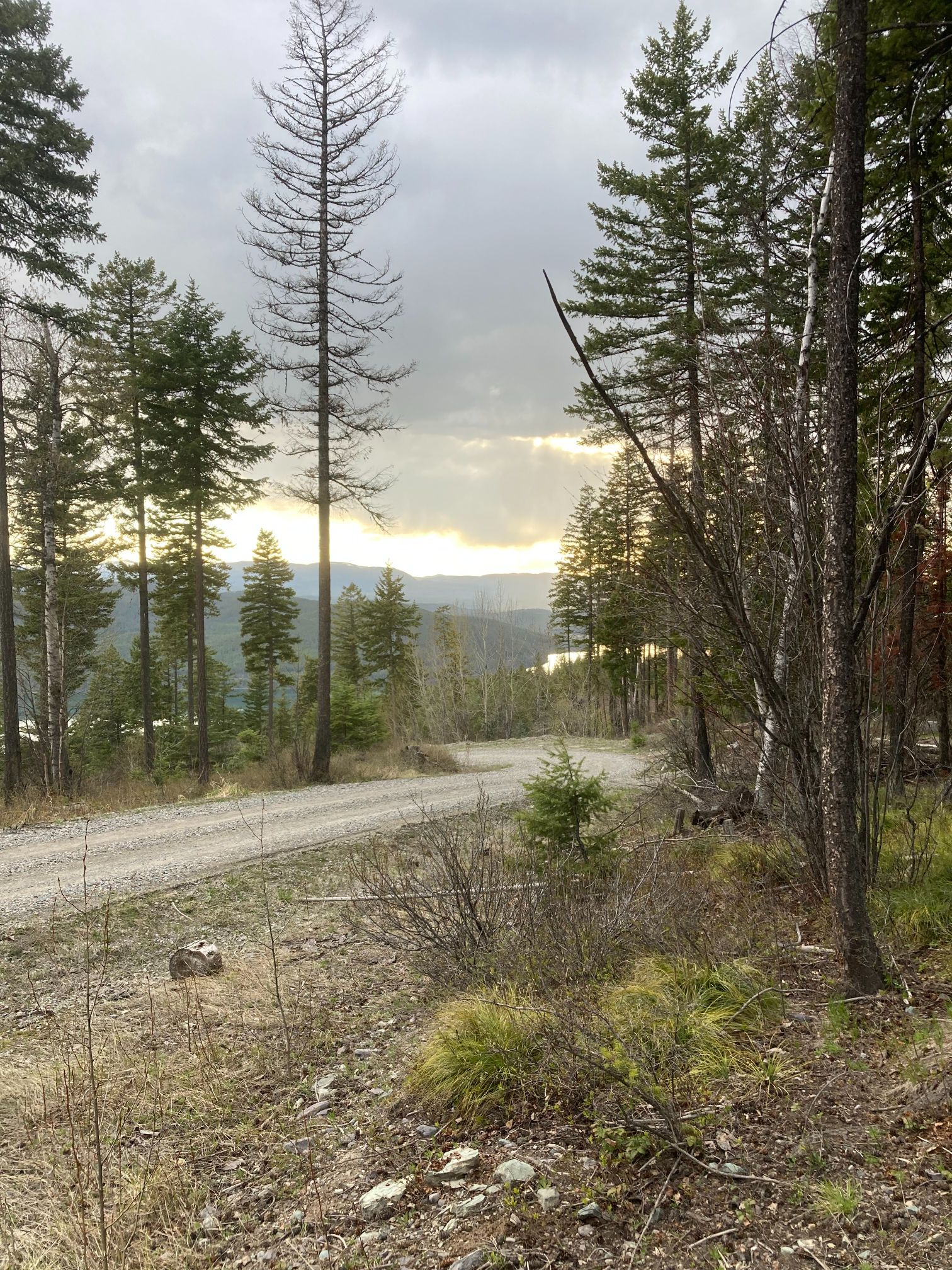 SOLD 0.12 Acre at the Base of Whitefish Mountain! Whitefish, Montana Wilco Land