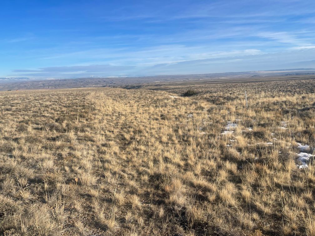 SOLD OffGrid 21 acre with Views, Red Lodge, MT Wilco Land