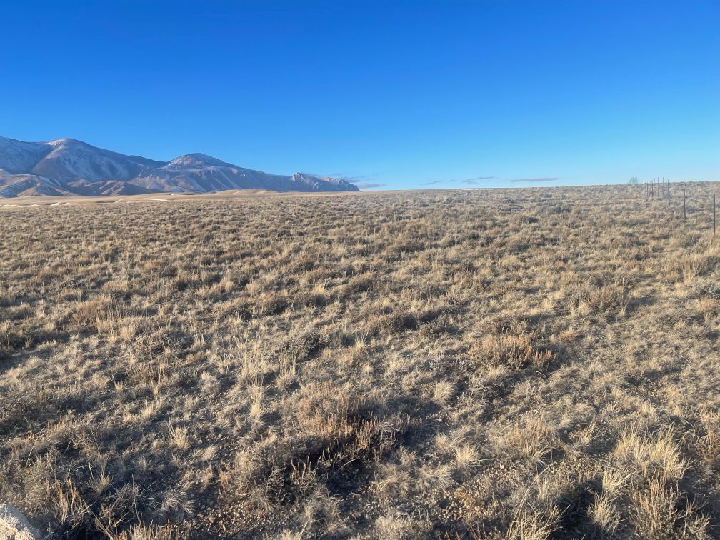 SOLD OffGrid 21 acre with Views, Red Lodge, MT Wilco Land