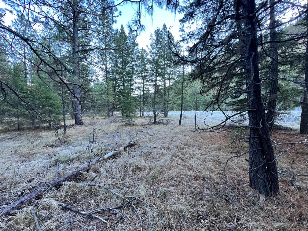 1.07 acres Clark Fork River in Quinns, MT - River access! - Wilco Land