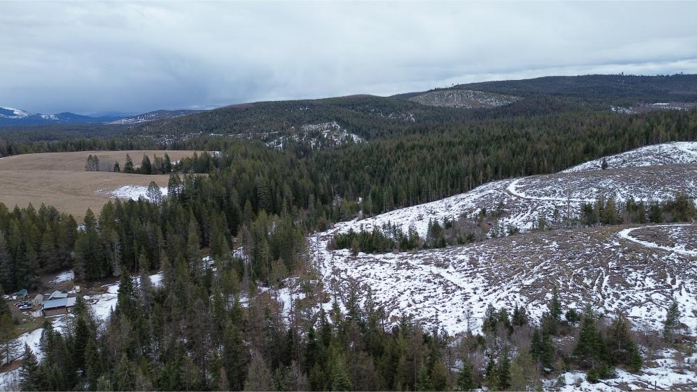 DJI_0602