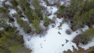 DJI_0617