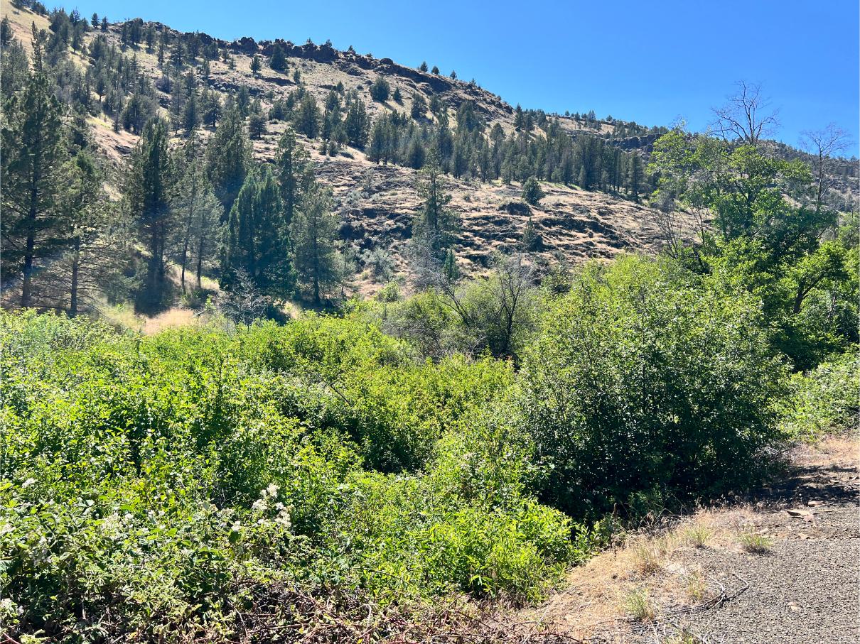 SOLD - 38 acre John Day River in Oregon! - Wilco Land