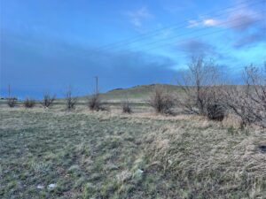 IMG_2852