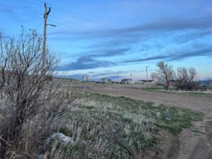 IMG_2853
