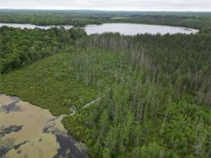 DJI_0056