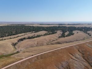 DJI_20240907084319_0006_D