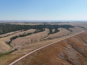 DJI_20240907084326_0007_D