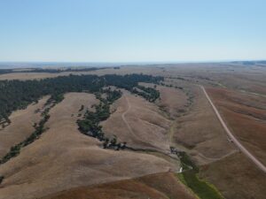 DJI_20240907084415_0010_D