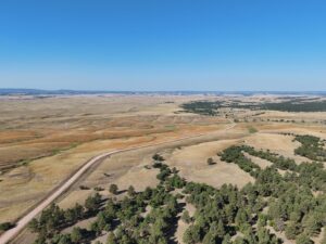 DJI_20240907084651_0021_D