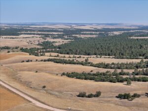 DJI_20240907084742_0025_D
