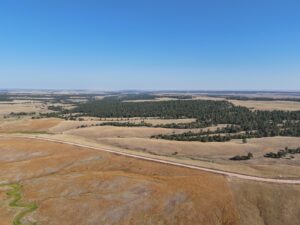 DJI_20240907084807_0027_D