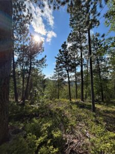 IMG_8569
