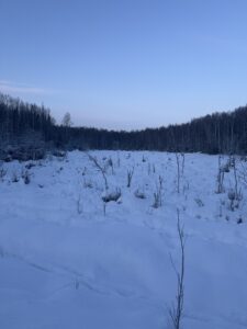 IMG_3641