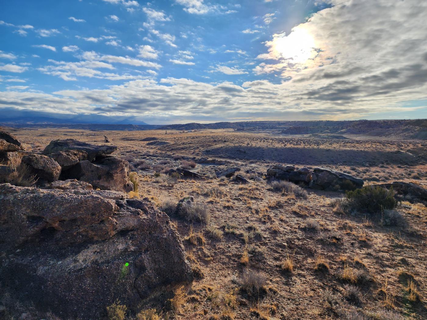 20250113_091041