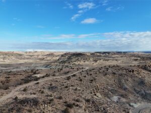 DJI_20250113093353_0550_D