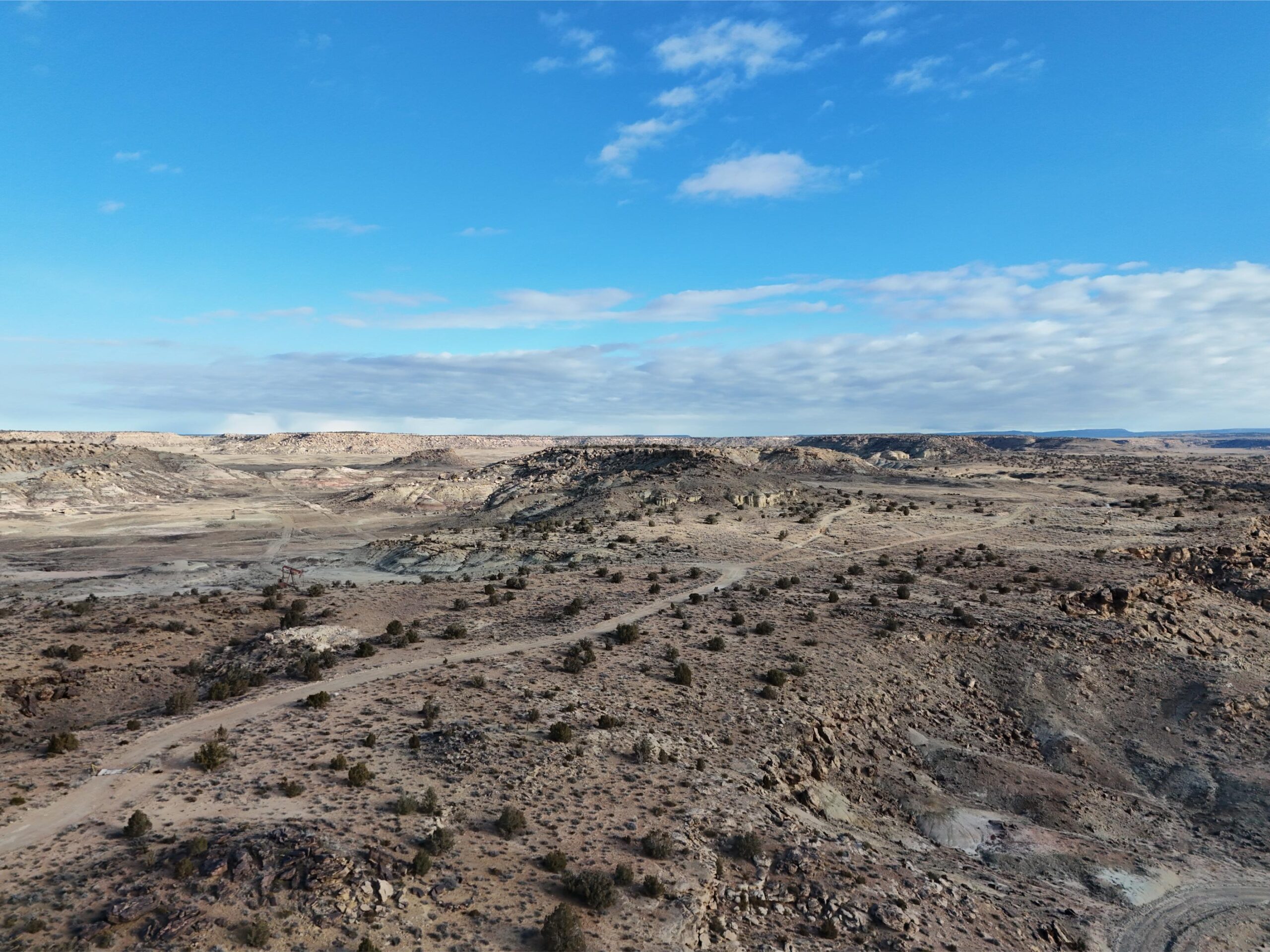 DJI_20250113093353_0550_D