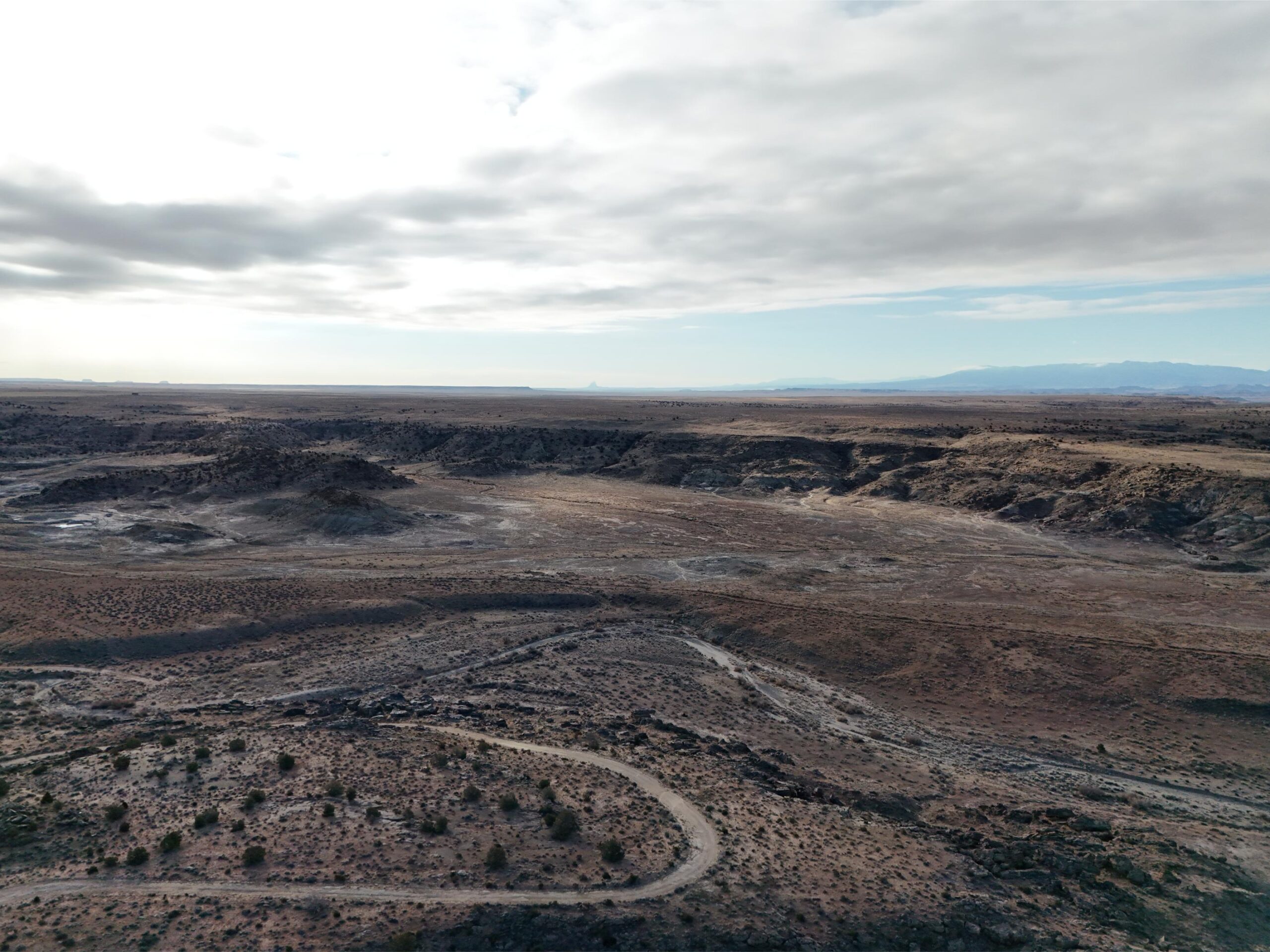 DJI_20250113093425_0553_D
