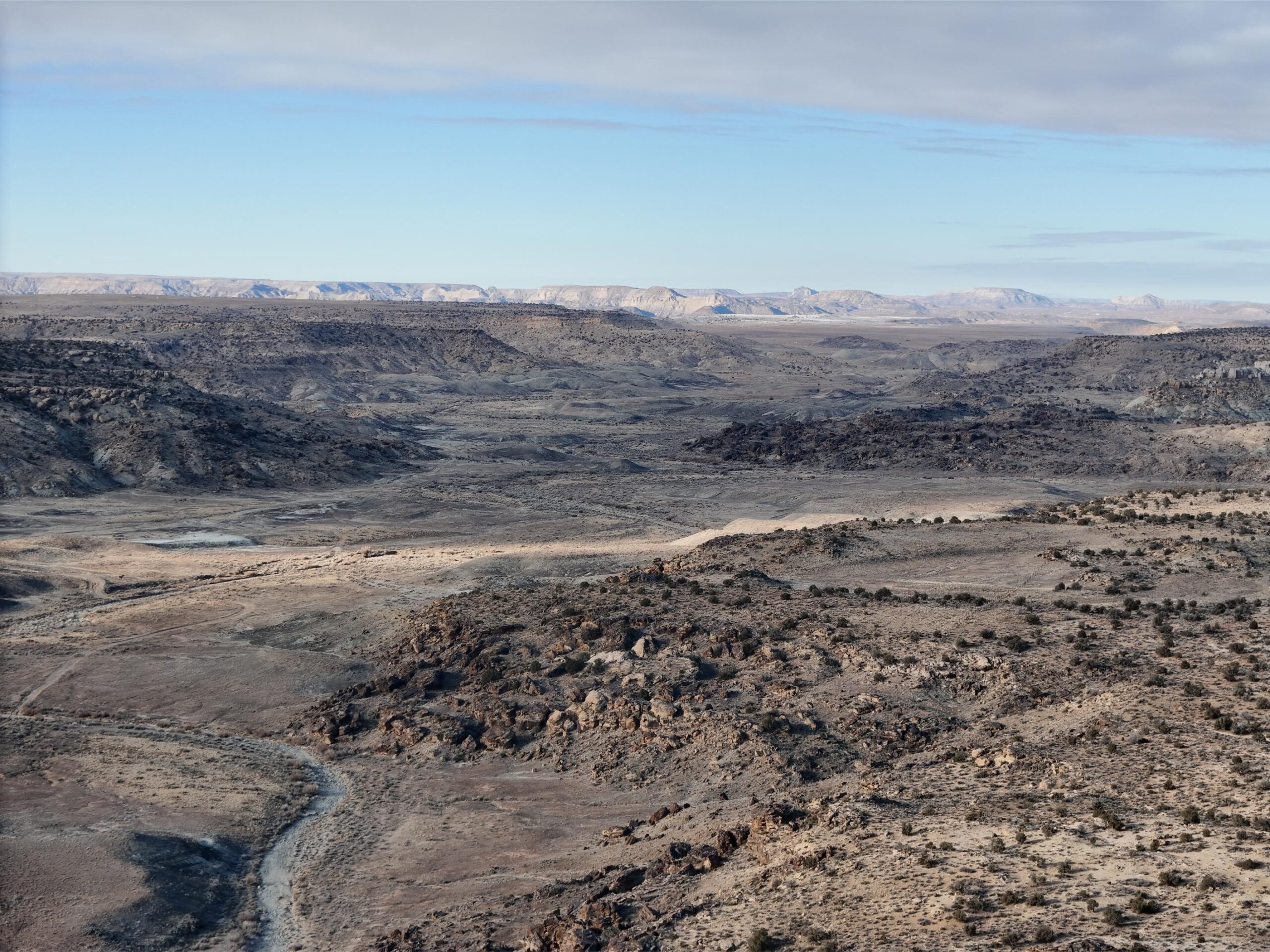 DJI_20250113093441_0555_D