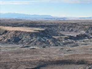 DJI_20250113093453_0557_D