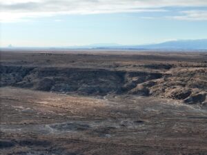 DJI_20250113093457_0558_D