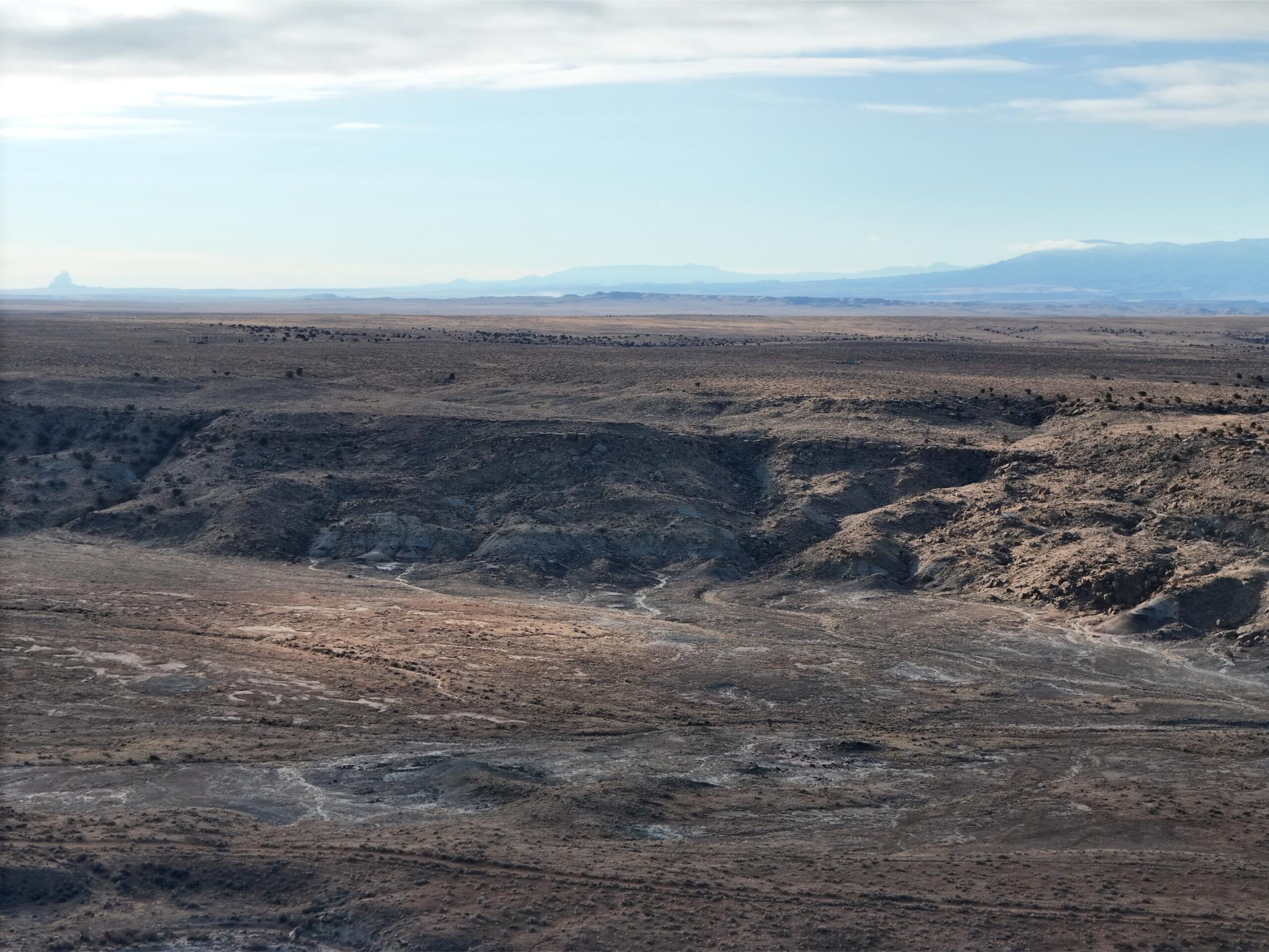 DJI_20250113093457_0558_D