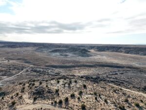 DJI_20250113093541_0560_D