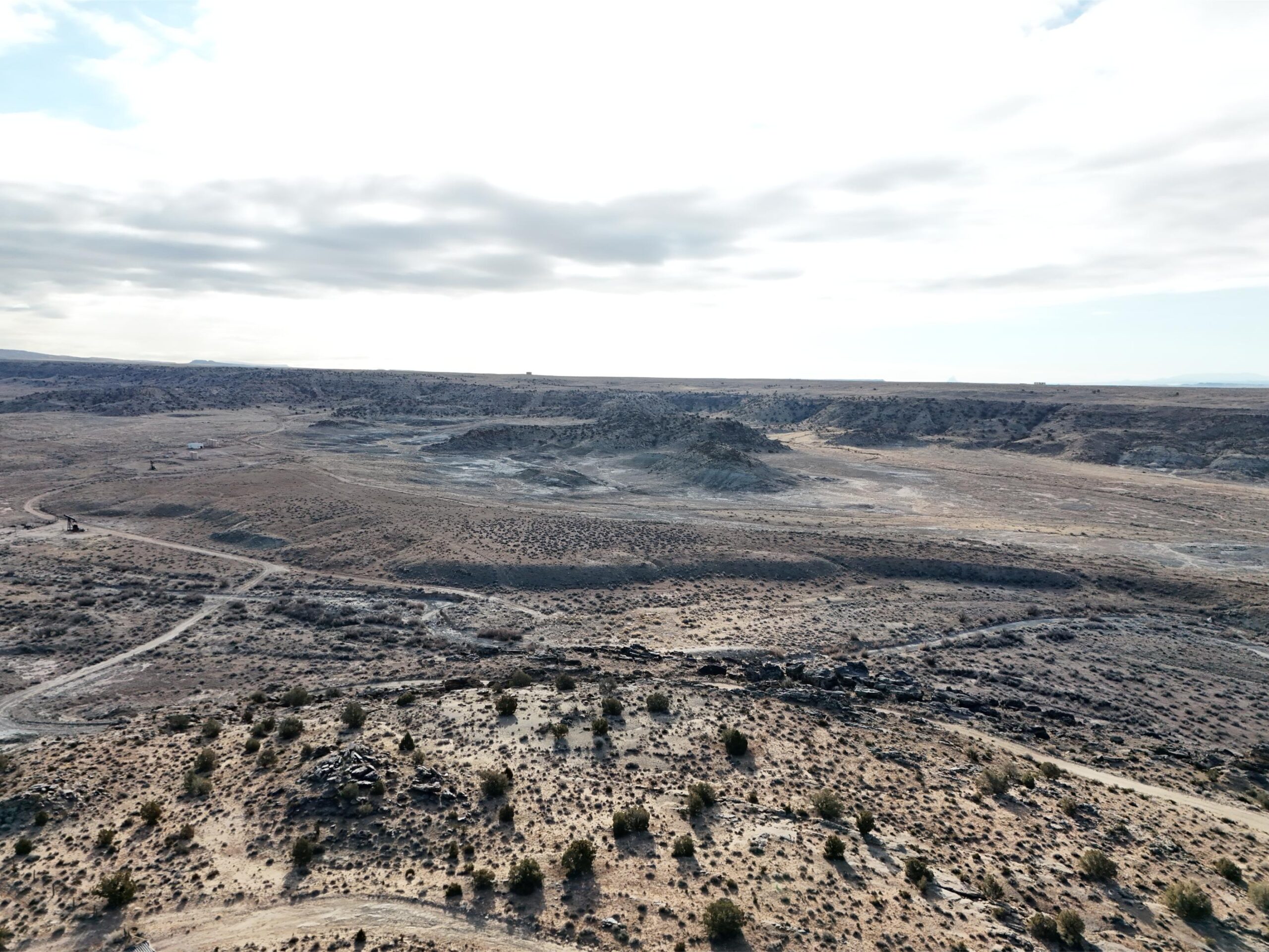 DJI_20250113093541_0560_D