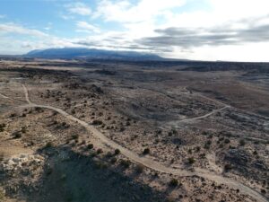 DJI_20250113093559_0561_D