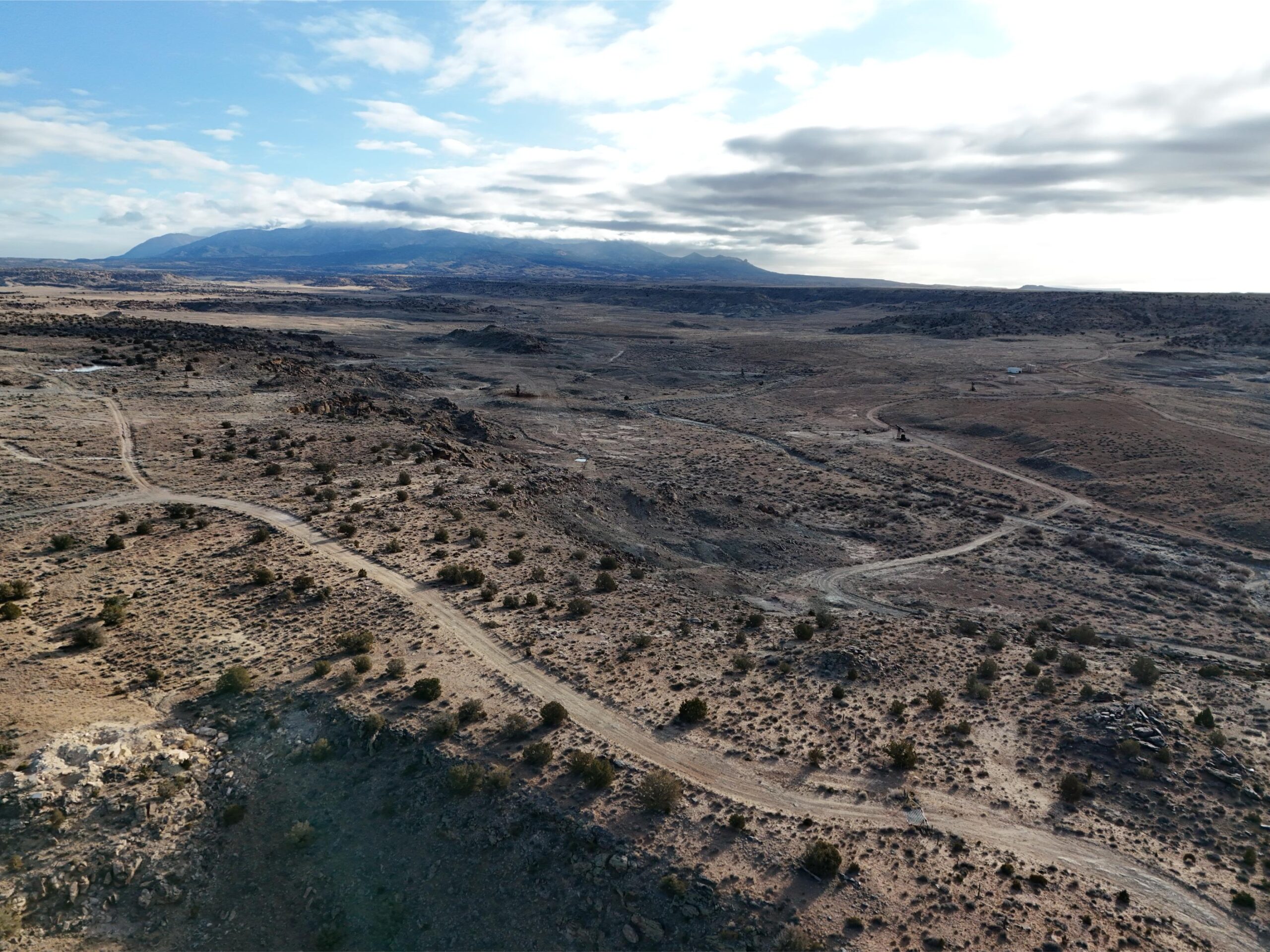 DJI_20250113093559_0561_D