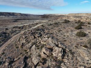 DJI_20250113093636_0565_D