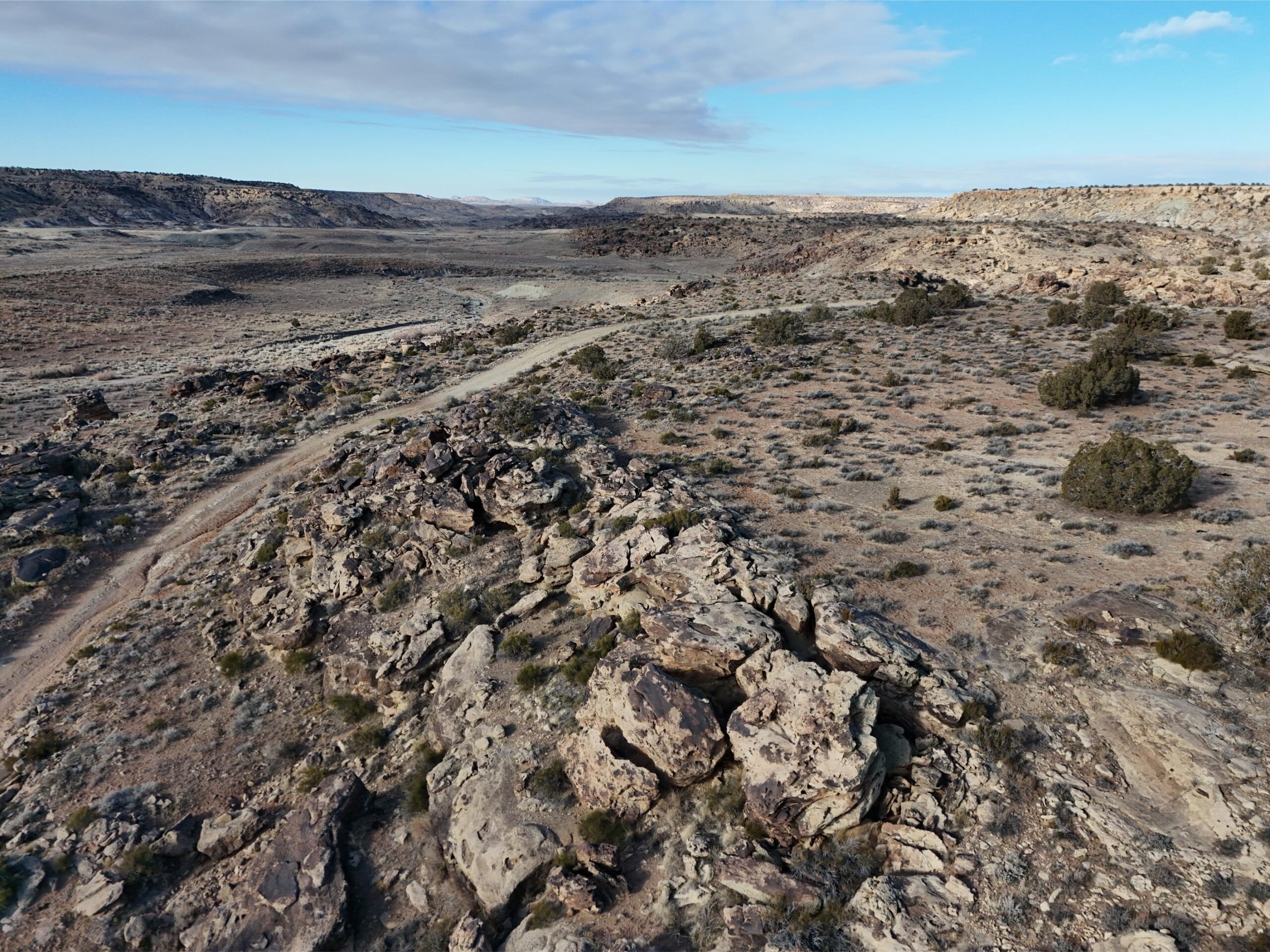 DJI_20250113093636_0565_D