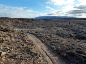 DJI_20250113093657_0566_D
