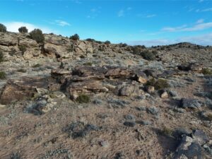 DJI_20250113093718_0568_D