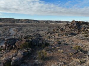DJI_20250113093731_0570_D