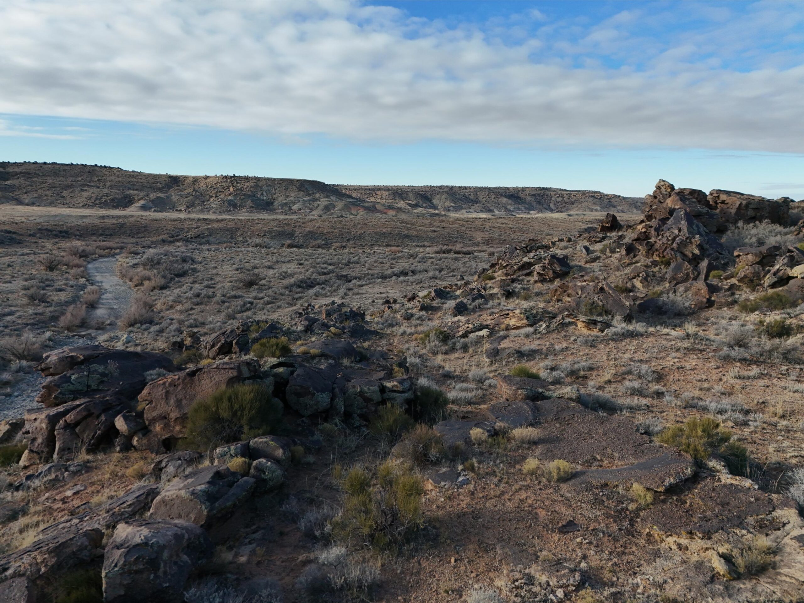 DJI_20250113093731_0570_D