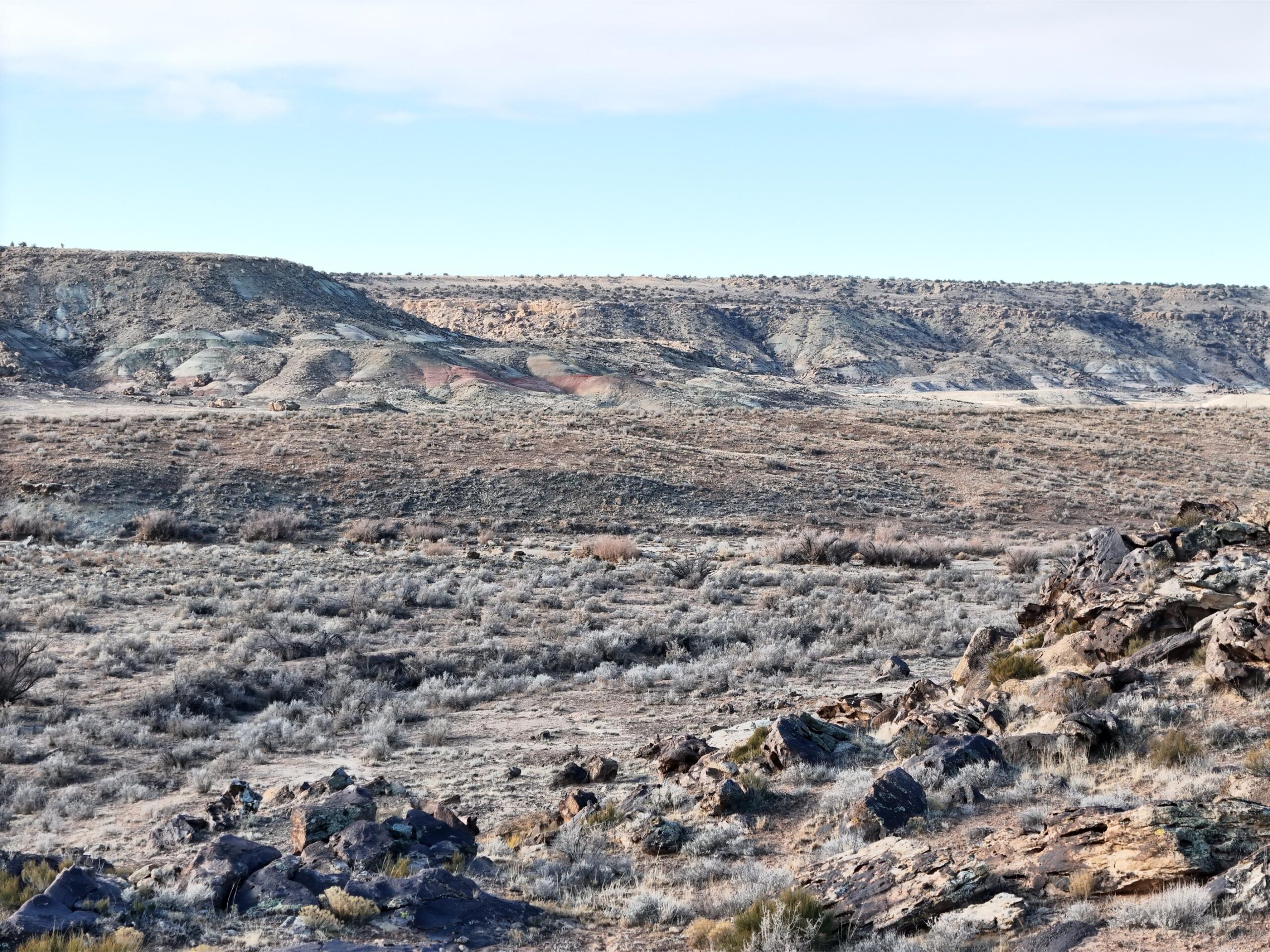 DJI_20250113093748_0571_D