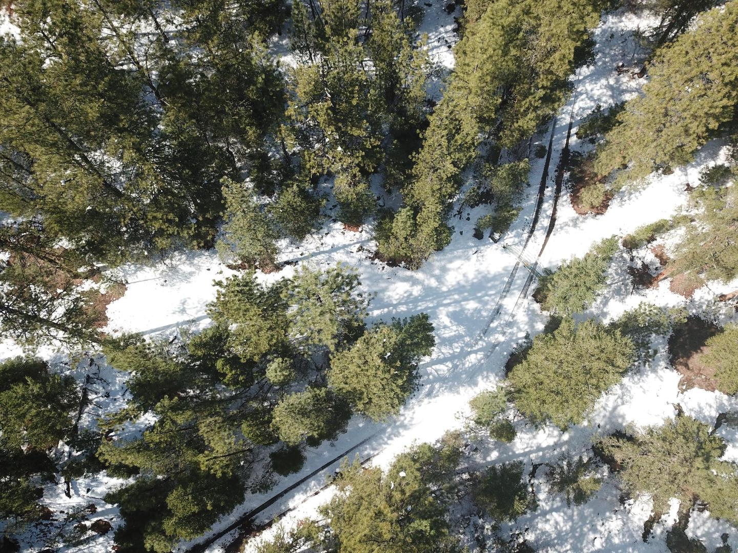 DJI_0349