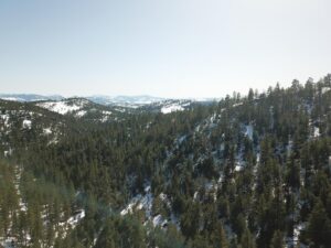 DJI_0355