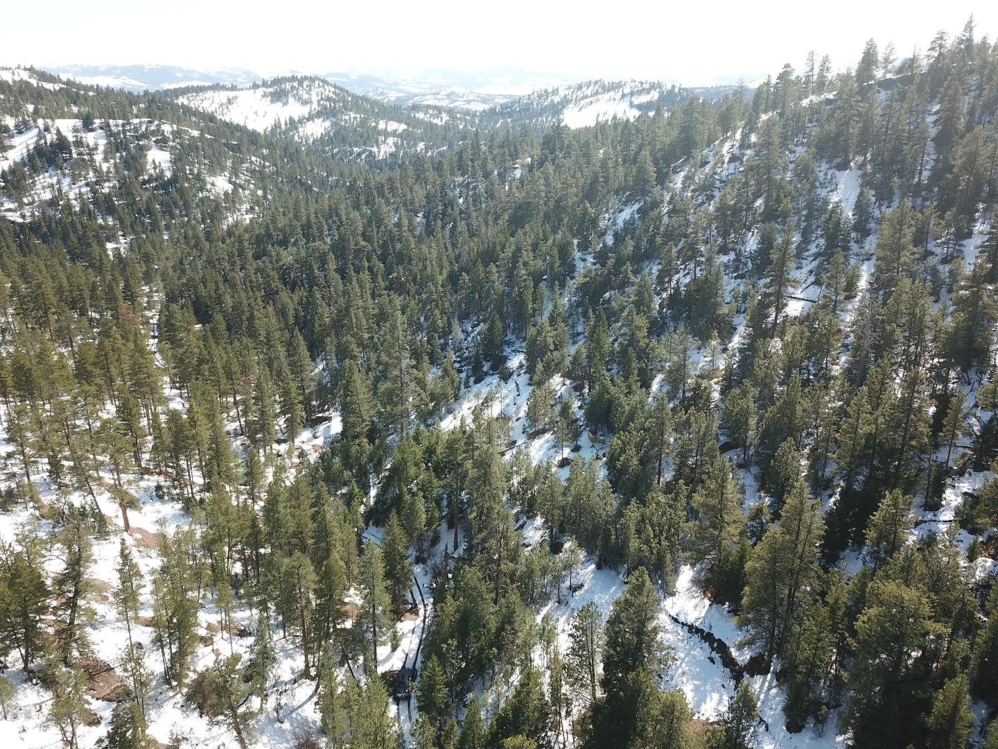DJI_0356