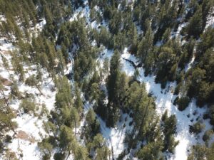 DJI_0357