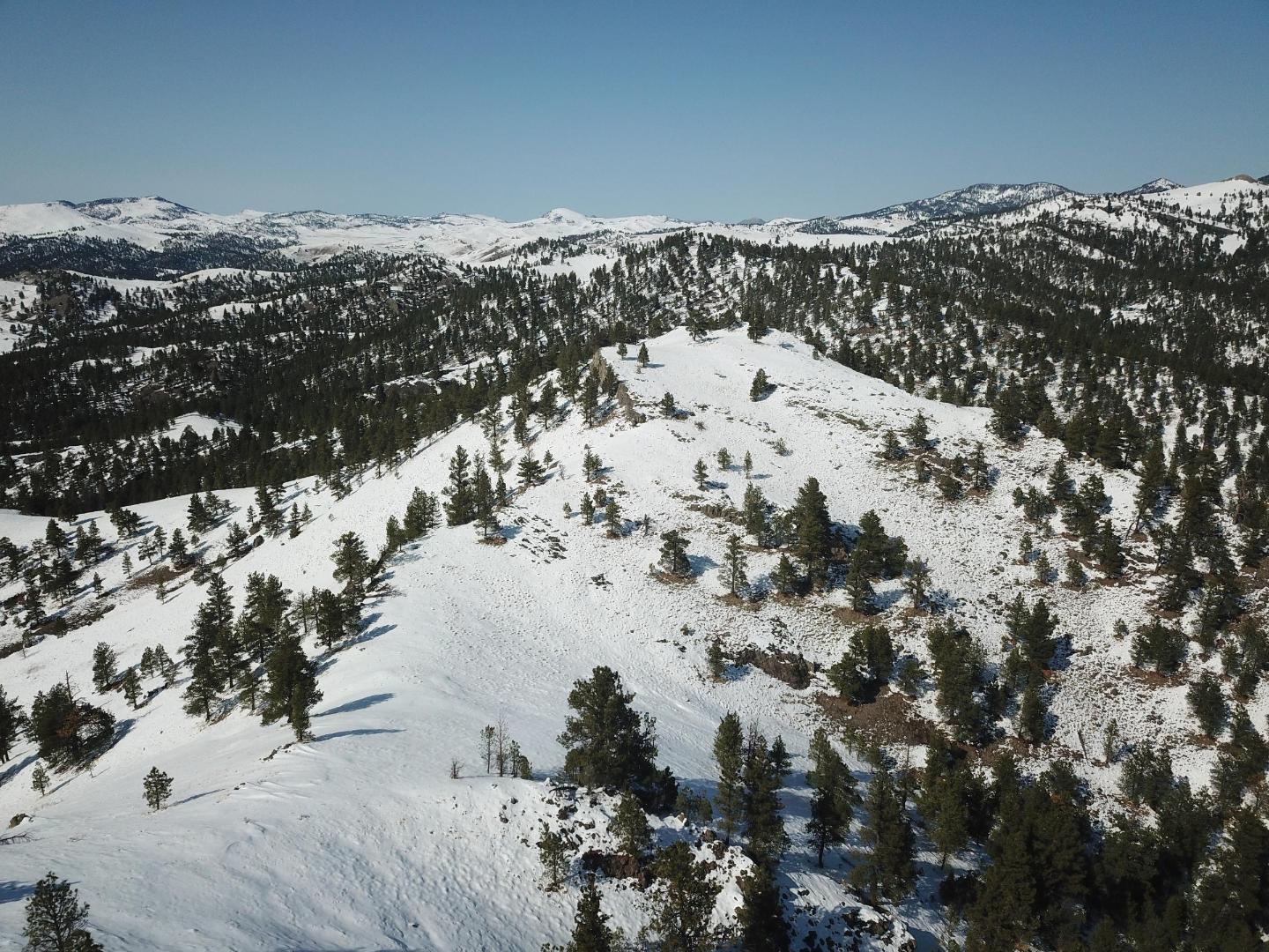 DJI_0361