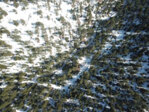 DJI_0373
