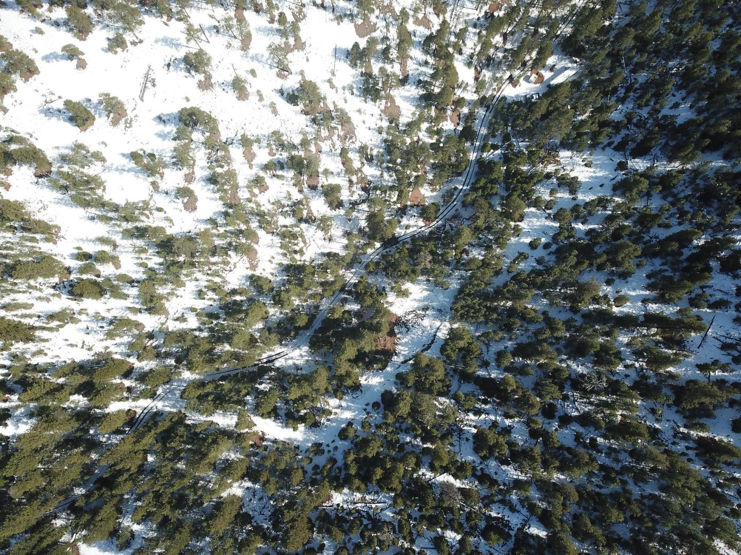 DJI_0373