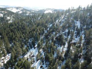 DJI_0375