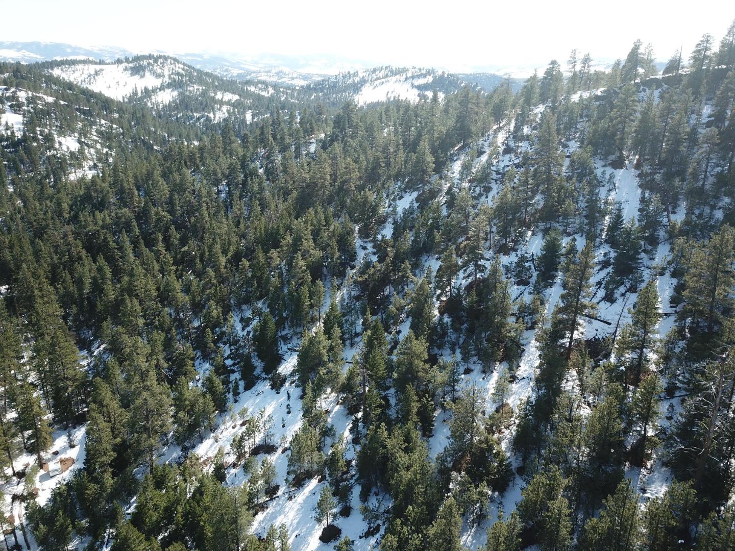 DJI_0375