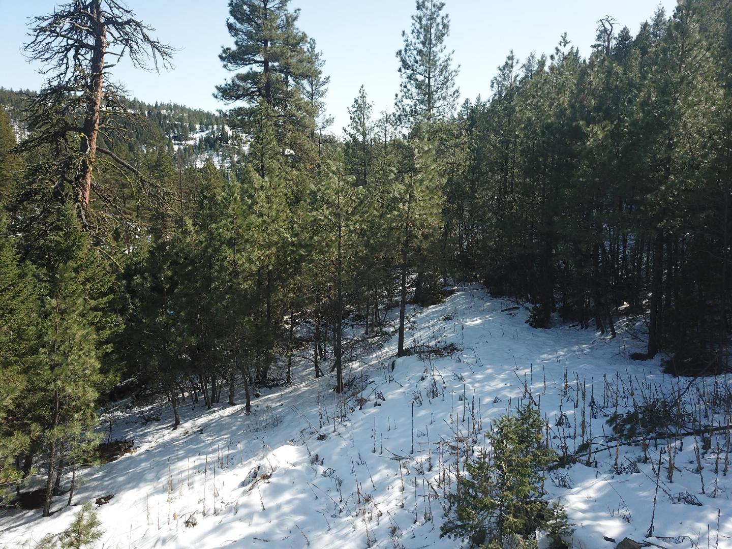 DJI_0383