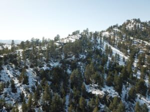 DJI_0386