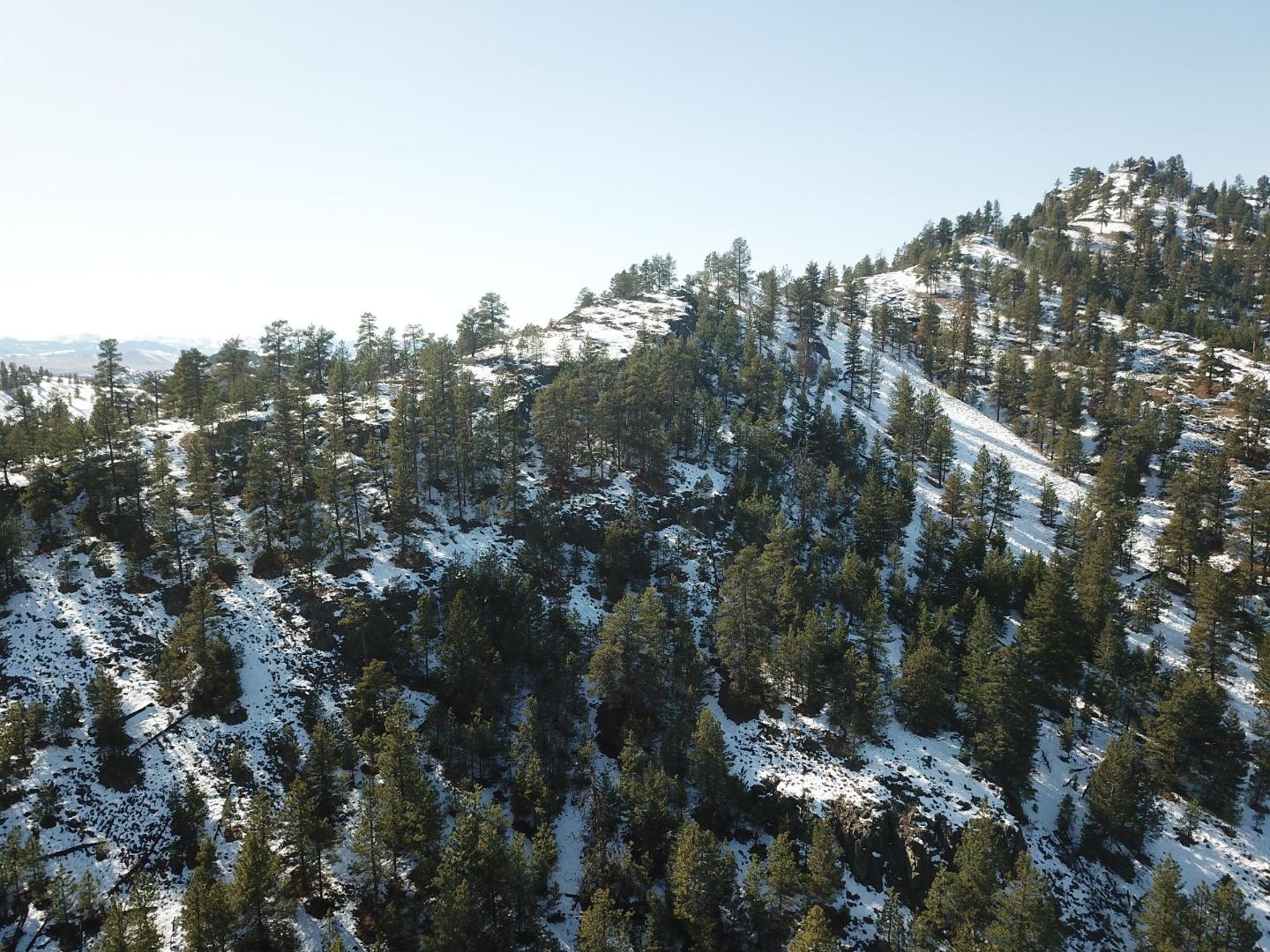 DJI_0386